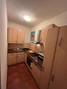 Kuchyň nebo kuchyňský kout v ubytování Apartments Spolkova