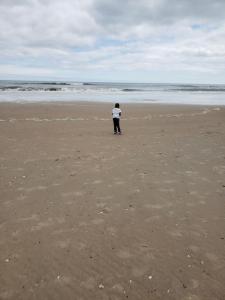 una persona in piedi sulla spiaggia che fa volare un aquilone di 4 Sea Monkeys Apt. #3 a Surf City
