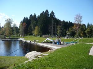 park z dokiem i jezioro z ludźmi na nim w obiekcie Ferienhof Bitschnau w mieście Lindenberg im Allgäu