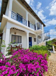 Frangipani House Nungwi Zanzibar في نونغوي: منزل أمامه زهور أرجوانية