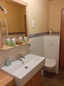 ein Bad mit einem Waschbecken und einem WC in der Unterkunft Ferienwohnung Henker in Bad Schandau