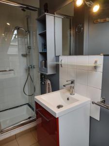 un baño con lavabo y ducha en Studio au 2e étage de notre maison de ville, en Caen