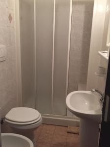 La salle de bains est pourvue d'une douche, de toilettes et d'un lavabo. dans l'établissement Hotel Nuova Doel, à Sottomarina