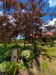 Red Hill Cottage Walcha外面的花园