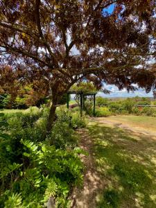 Red Hill Cottage Walcha外面的花园