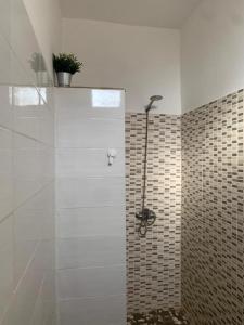 baño con cabina de ducha con planta en Villa Idaka, en Rufisque