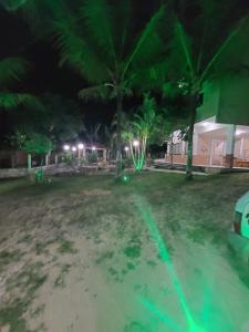 einen Hof mit zwei Palmen in der Nacht in der Unterkunft Pousada Fernandes in Aratuba