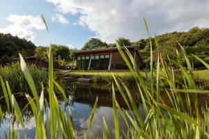 a house with a pond in front of it at Yorkshire Dales Lodge 4 Family 3 Bed in Richmond