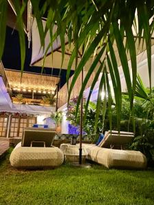 Matisia Hotel Boutique في غوادواس: فناء فيه كرسيين و نخلة