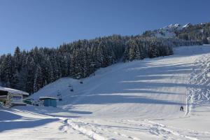 Obiekt Alpengasthof zur Post zimą