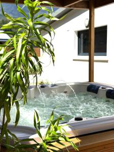 Villa Couleur Nature في سالازي: يوجد حوض استحمام ساخن مع نباتات الفخار بجواره