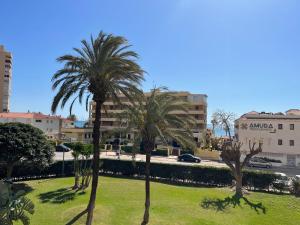 een groep palmbomen in een park bij Modern 3 bedroom apartment situated in luxury beachfront gated community in Torremolinos