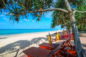 a beach with chairs and a tree and the ocean at Lanta Miami Resort - SHA Extra Plus in Ko Lanta
