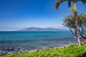 Naturlandskabet i nærheden af lejligheden + 49 billeder