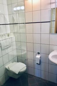 y baño con aseo y lavamanos. en Hotel Weingut Dehren, en Ellenz-Poltersdorf