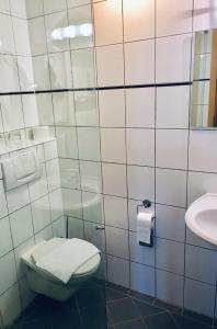 ein Bad mit einem WC und einem Waschbecken in der Unterkunft Hotel Weingut Dehren in Ellenz-Poltersdorf