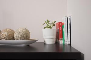 a table with a plate and a plant and books at The Piedmont Gate in Collegno