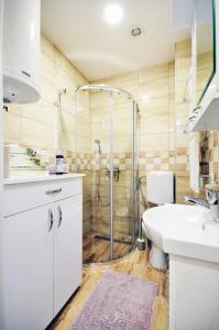 a bathroom with a shower and a sink and a toilet at Apartman Provansa in Vrnjačka Banja