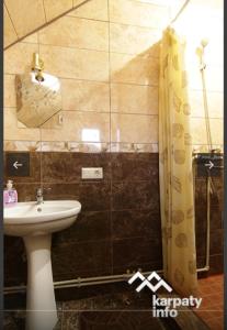 La salle de bains est pourvue d'un lavabo et d'une douche. dans l'établissement Dva Opryshka, à Yaremtche