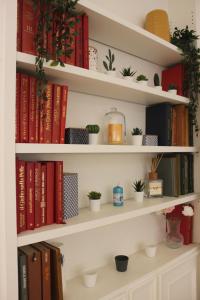 The library in Az apartmant