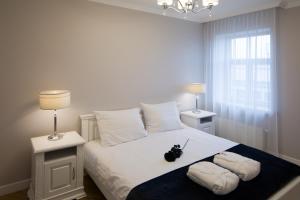 a bedroom with a bed with two pillows and two lamps at Rezidence Pērnavas 41 in Rīga