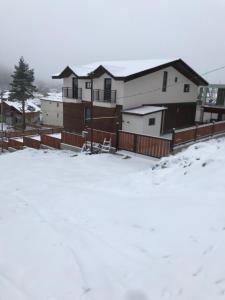 House Near Forest durante l'inverno