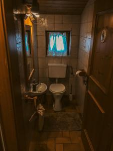 Kuhlinarik Apartment في Prama: حمام صغير مع مرحاض ونافذة