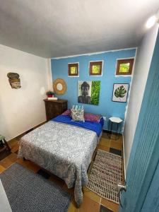1 dormitorio con 1 cama y paredes azules en La Nube Eco-Hotel, en Villavicencio