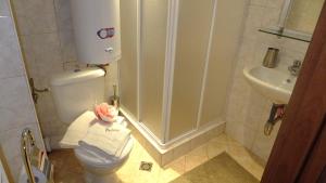 een badkamer met toilet en wastafel bij Bansko Prespa Ski Penthouse in Bansko +38 foto's