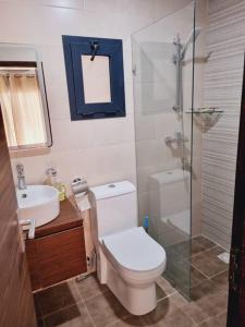 a bathroom with a toilet and a sink and a shower at Modern 1-bed Seaside Flat Bijilo in Sere Kunda