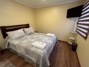 Postel nebo postele na pokoji v ubytování Hotel Restaurante Aconcagua