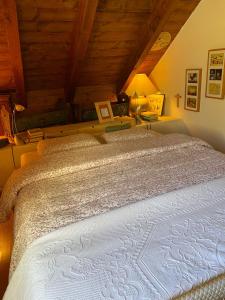 a bedroom with a large bed in a attic at A casa di Gio' in Bosco Gurin