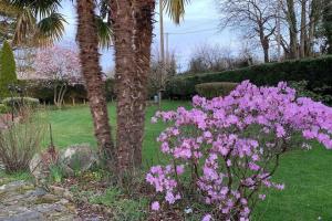 a bush of pink flowers next to a palm tree at Le Nalousie in Livry