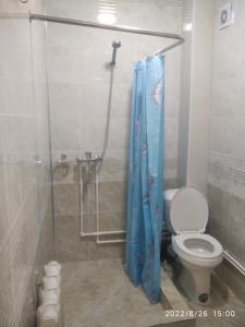 a bathroom with a shower with a toilet and a shower curtain at Nur-Niso Guest House in Bukhara