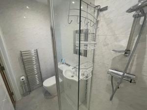 uma casa de banho com uma cabina de duche em vidro e um WC. em NewParade em Worthing