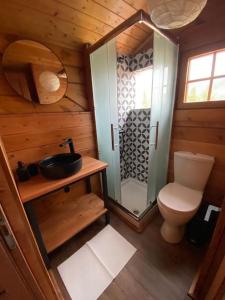 Baño pequeño con aseo y lavamanos en Orino Livadi Chalet II en Arachova