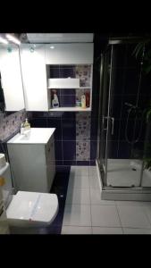 uma casa de banho com um WC branco e um chuveiro em Spa Apartment em Belgrado