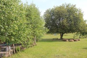 Vonkajšia záhrada v ubytovaní Agroturystyka Kociewiak