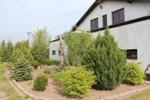Vonkajšia záhrada v ubytovaní Agroturystyka Kociewiak
