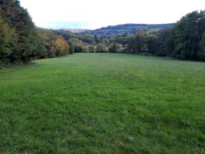 Φωτογραφία από το άλμπουμ του Erholungsheim im Wienerwald σε Irenental