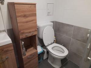 een kleine badkamer met een toilet en een wastafel bij Erholungsheim im Wienerwald in Irenental