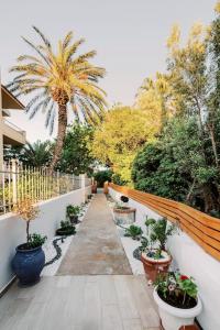 einen Gehweg mit Topfpflanzen und einem Zaun in der Unterkunft Myrovolos luxury Angie's house in Ialyssos