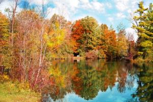 ウェランドにあるHoliday Inn Express & Suites - Wellandの木々が水に映る秋の湖
