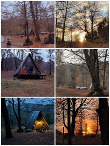 a group of four pictures of a cabin with a tree at Alpinas de Sollipulli refugio sollipulli in Melipeuco