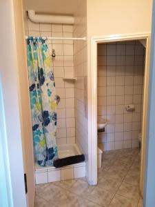 a bathroom with a tub and a shower curtain at NAPSUGAR VEND&Eacute;GH&Aacute;Z in Bog&aacute;cs