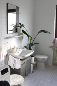 a bathroom with a sink and a toilet and a plant at Chiemsee /Seeblick/ Netflix in Seeon-Seebruck