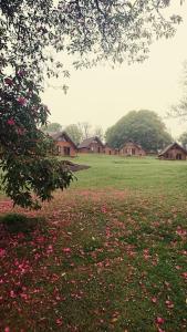 um campo de flores num campo com casas em Bungalow 62,North Cornwall, St. Tudy em Saint Tudy