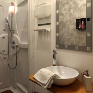 ein Bad mit einem Waschbecken und einer Dusche in der Unterkunft Bed & Chic bed & breakfast in Triest