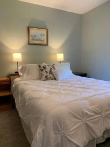 a large white bed in a room with two lamps at Trip6 Historic Brick Home in Helena