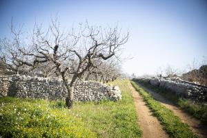 un chemin de terre à côté d'un mur de pierre dans l'établissement B&B Masseria SERRI, à Putignano